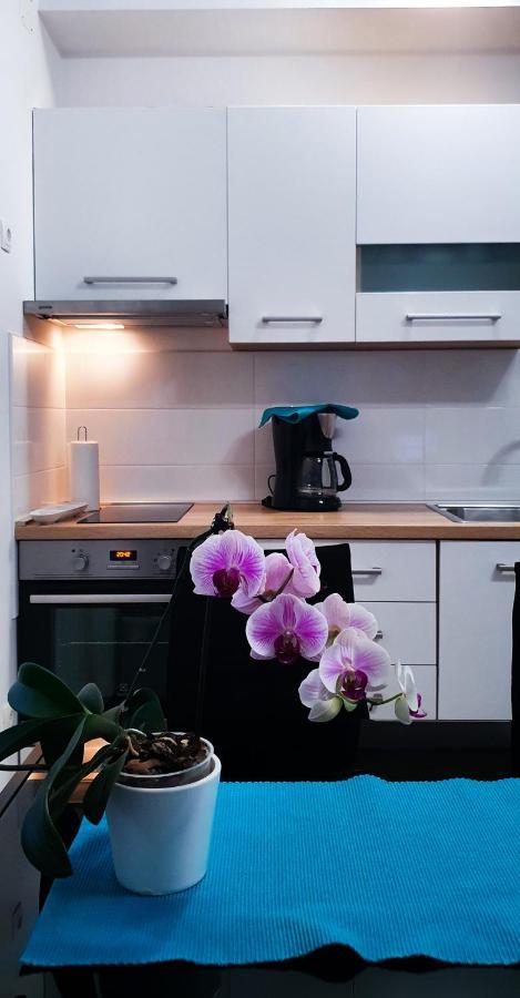Radenka Zafron Apartment Vodice Ngoại thất bức ảnh